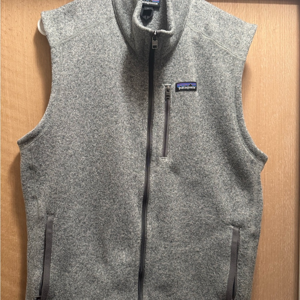 Patagonia Gray Fleece Vest
